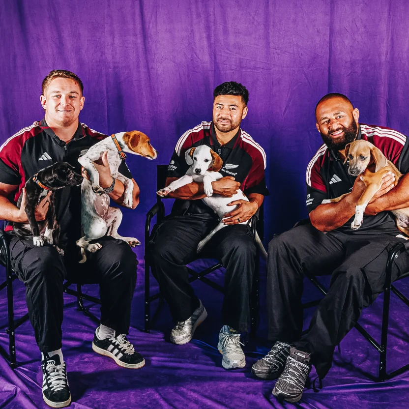 All Blacks interviewed with a lap full of puppies